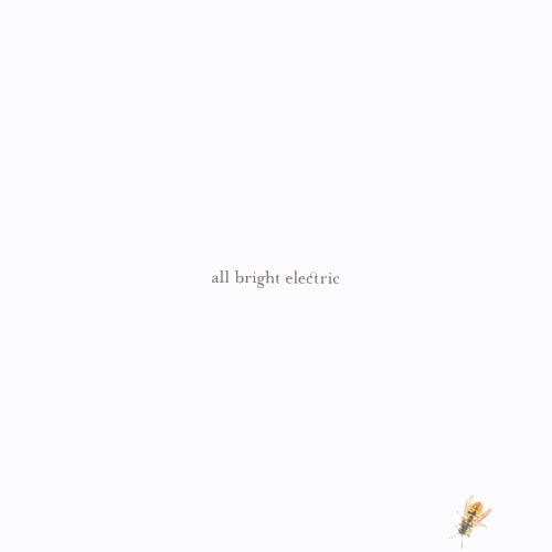 Feeder - All bright electric (LP)