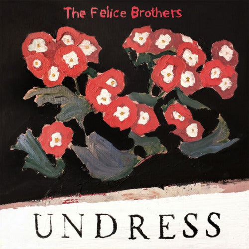 The Felice Brothers - Undress (CD)