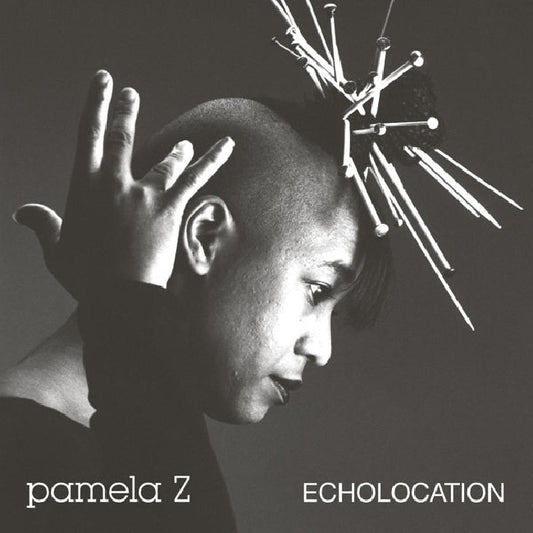 Pamela Z - Echolocation (LP)