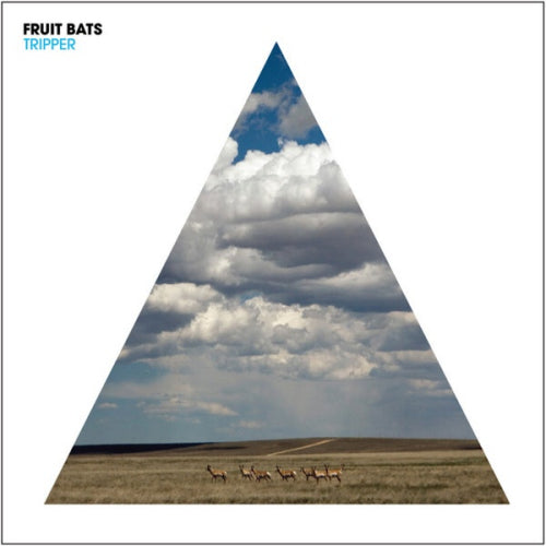 Fruit Bats - Tripper (LP)