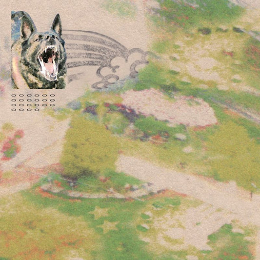 Feeble Little Horse - Girl with fish (LP)