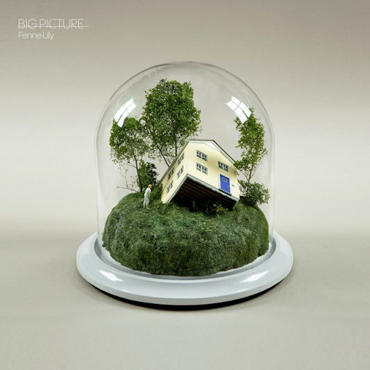 Fenne Lily - Big picture (Ultramarine Vinyl, Coloured Vinyl LP)