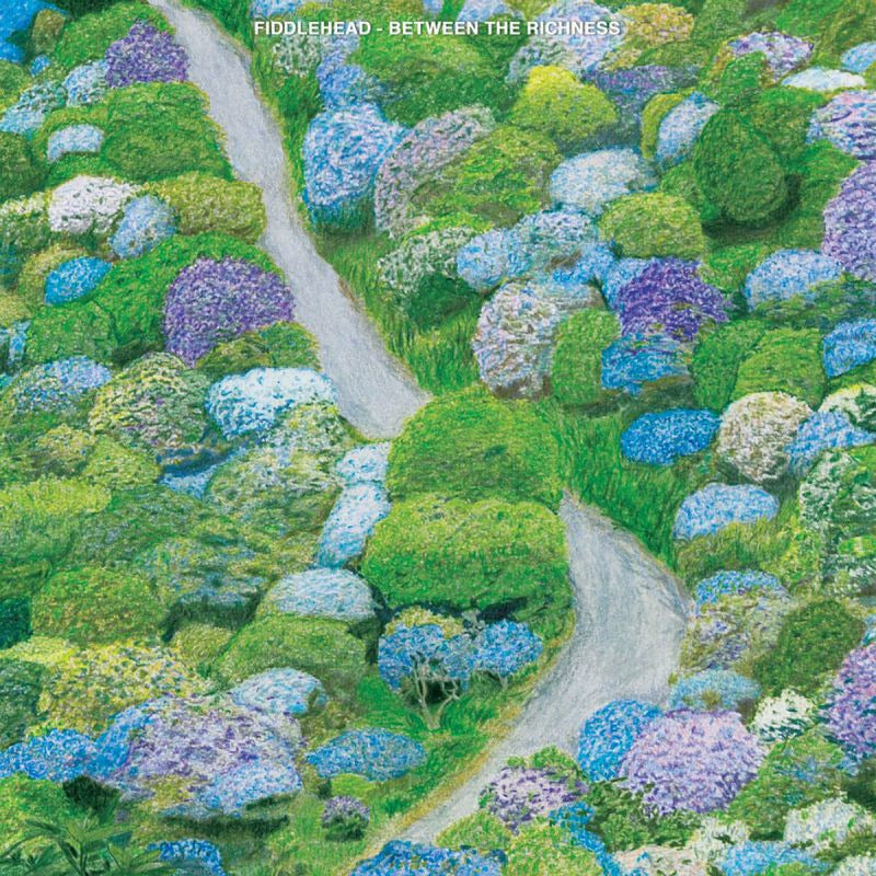 Fiddlehead - Between the richness (CD)