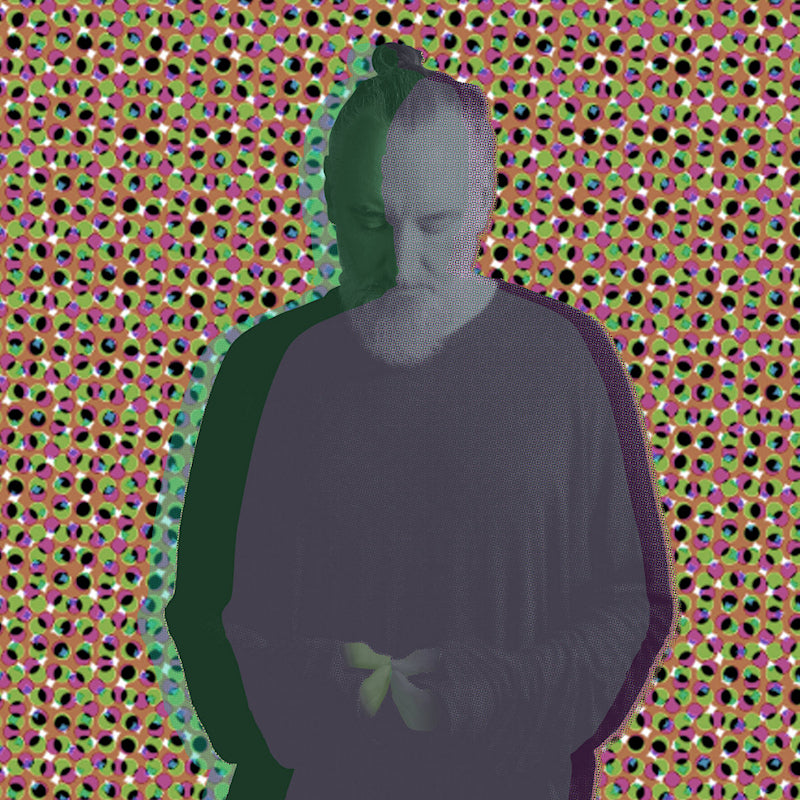 Fink - Beauty in your wake acoustic (LP)