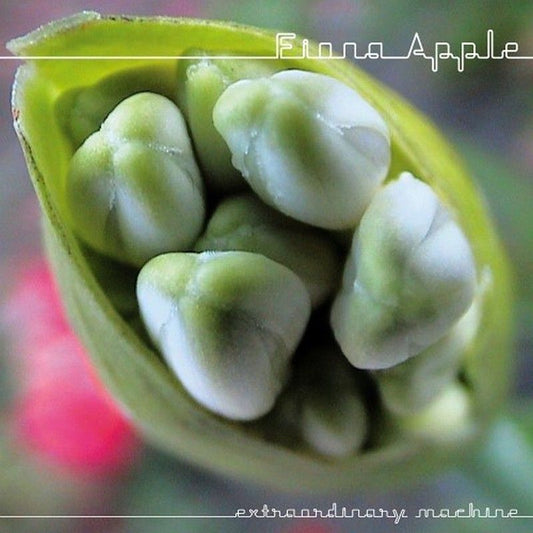 Fiona Apple - Extraordinary machine (CD)