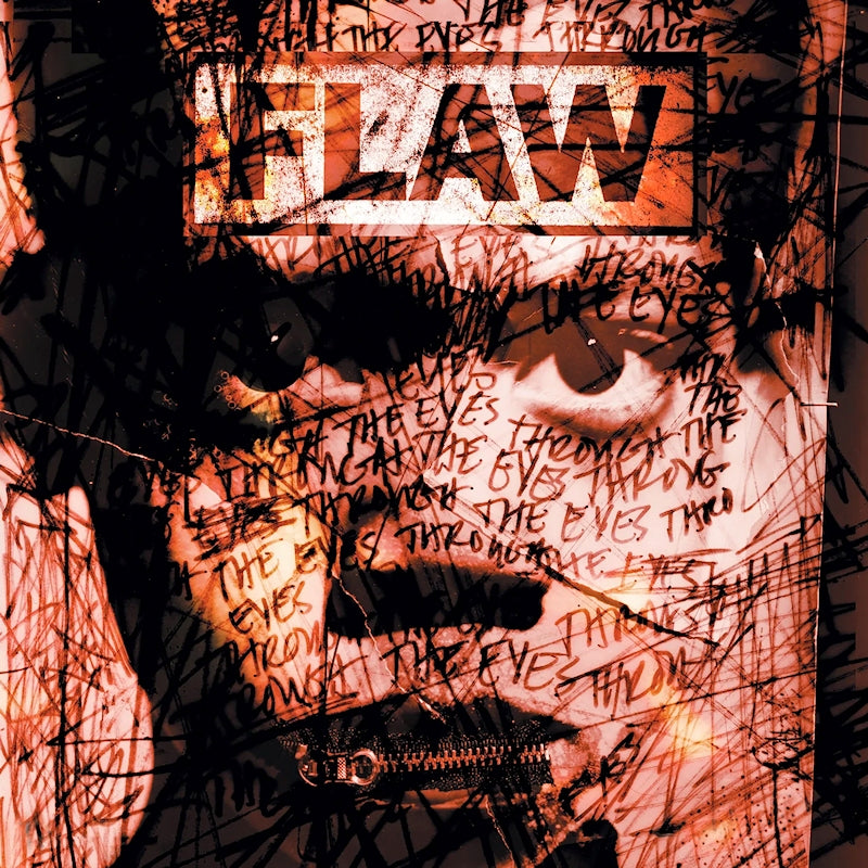 Flaw - Through the eyes (LP)