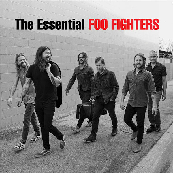 Foo Fighters - The essential foo fighters (5637699 LP)