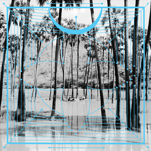 Four Tet - Pink (4413326 LP)