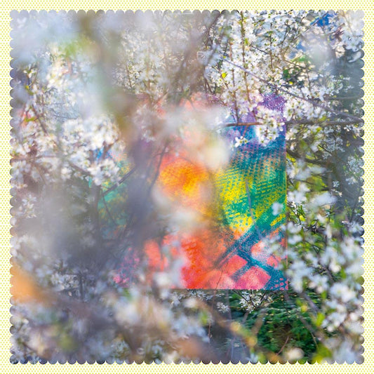 Four Tet - Sixteen oceans (LP)