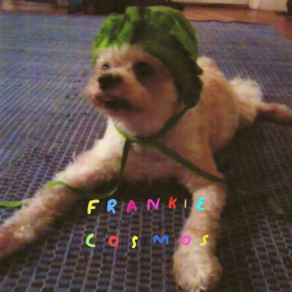 Frankie Cosmos - Zentropy (LP)