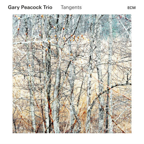 Gary Peacock -trio- - Tangents (Feat. Marc Copland & Joey Baron CD)