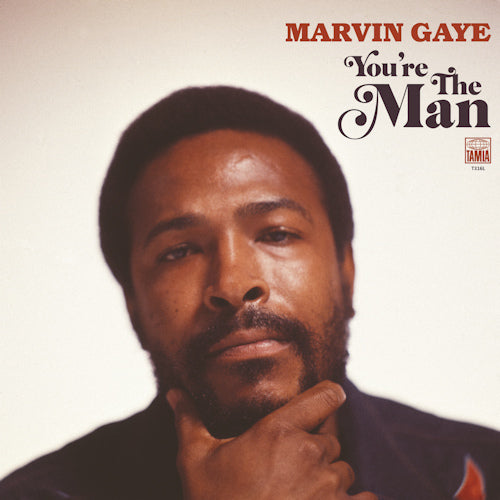 Gaye, Marvin - You're the man (4356471 LP)