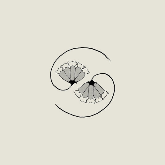 Godspeed You Black Emperor - G_d's pee at state's end! (.. State's End! / Lp+10", 10\" LP)
