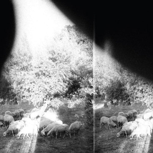 Godspeed You Black Emperor - Asunder, sweet & other distress (3637968 LP)