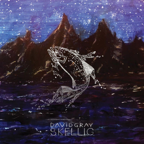 David Gray - Skellig (Gatefold Sleeve LP)