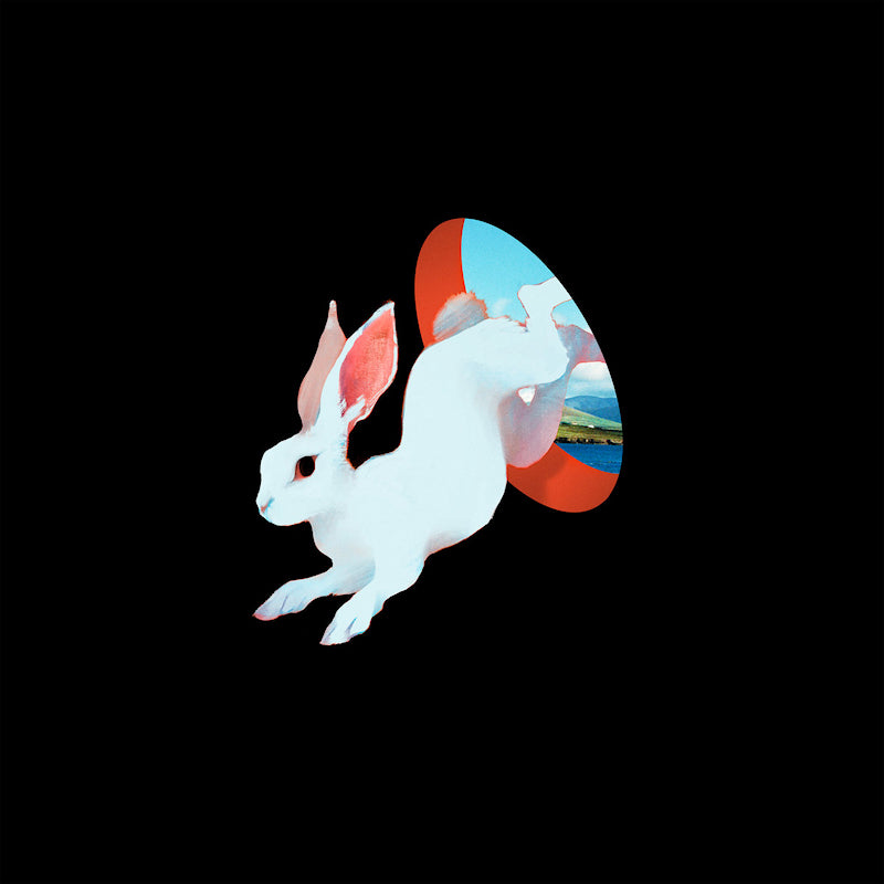Ganser - Animal hospital (future blue) (LP)