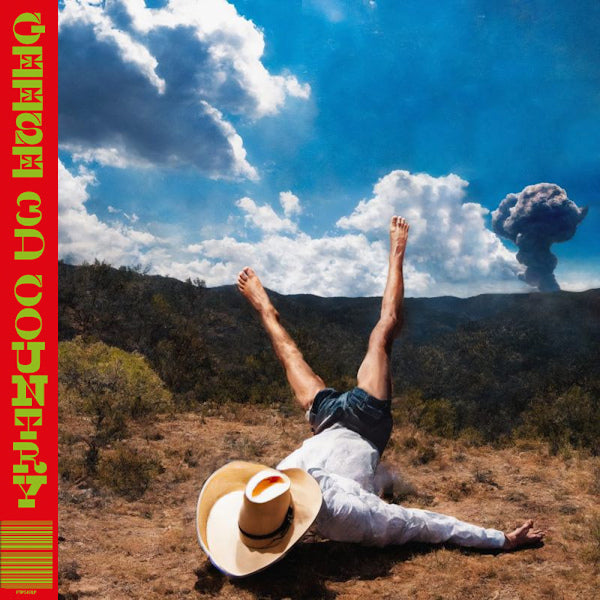 Geese - 3d country (5046648 LP)