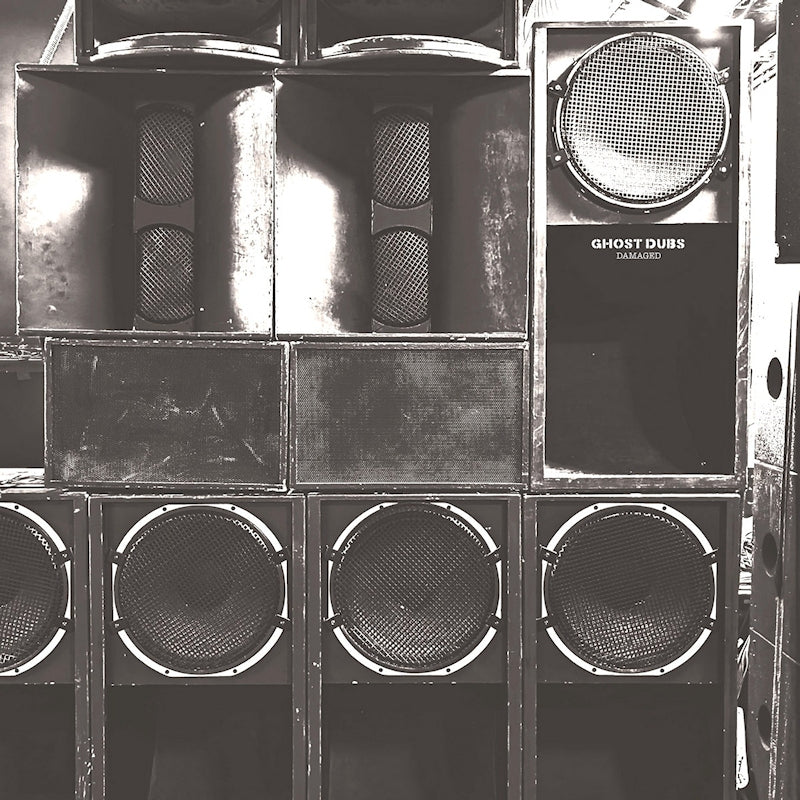 Ghost Dubs - Damaged (LP)