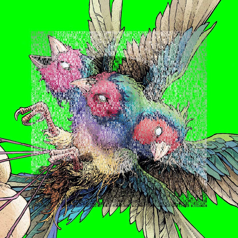 Gouldian Finch - Hatch (LP)