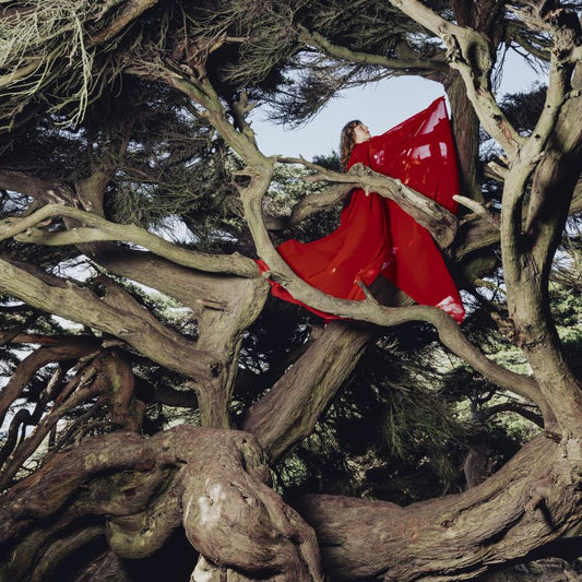 Hannah Frances - Nested in tangles (Coloured Vinyl LP)