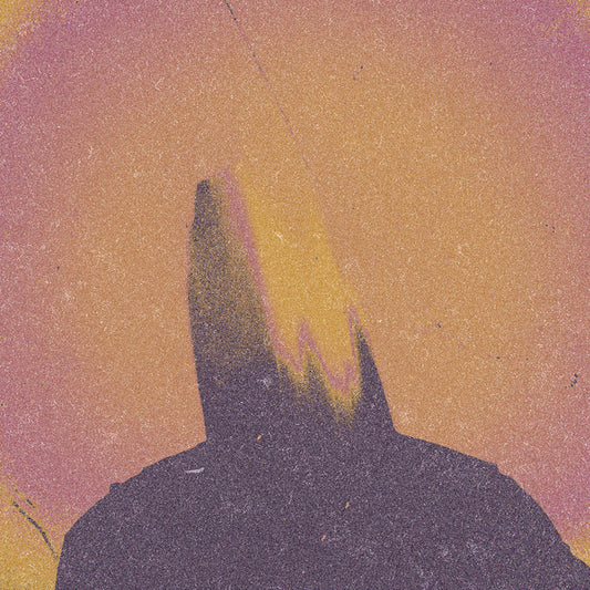 Hanry - What came from silence (LP)