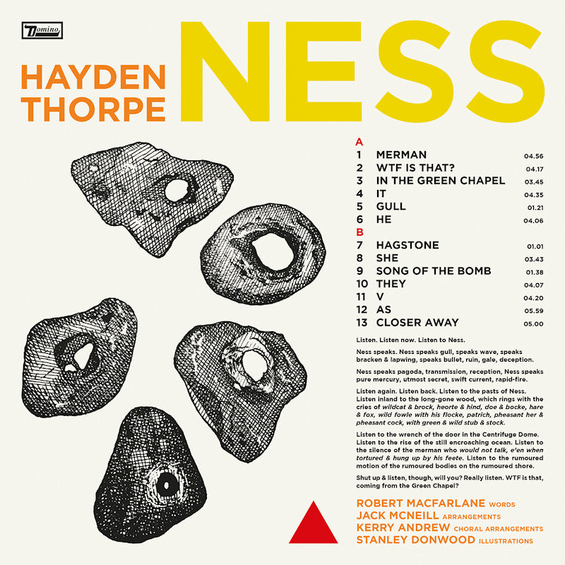 Hayden Thorpe - Ness (LP)