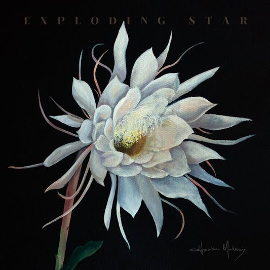 Heather Maloney - Exploding star (LP)