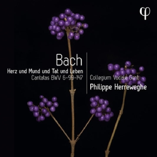 Philippe Herreweghe - Herz und mund und tat und leben (CD)