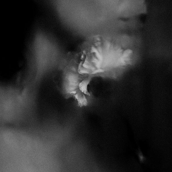 Holding Absence - Holding absence (CD)