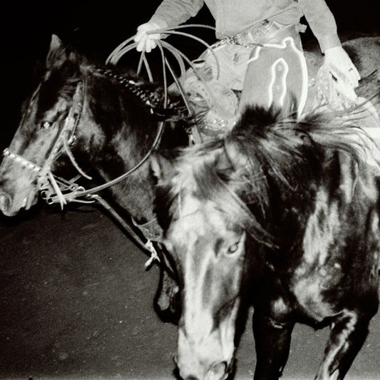 Holy Motors - Heaven's night (LP)