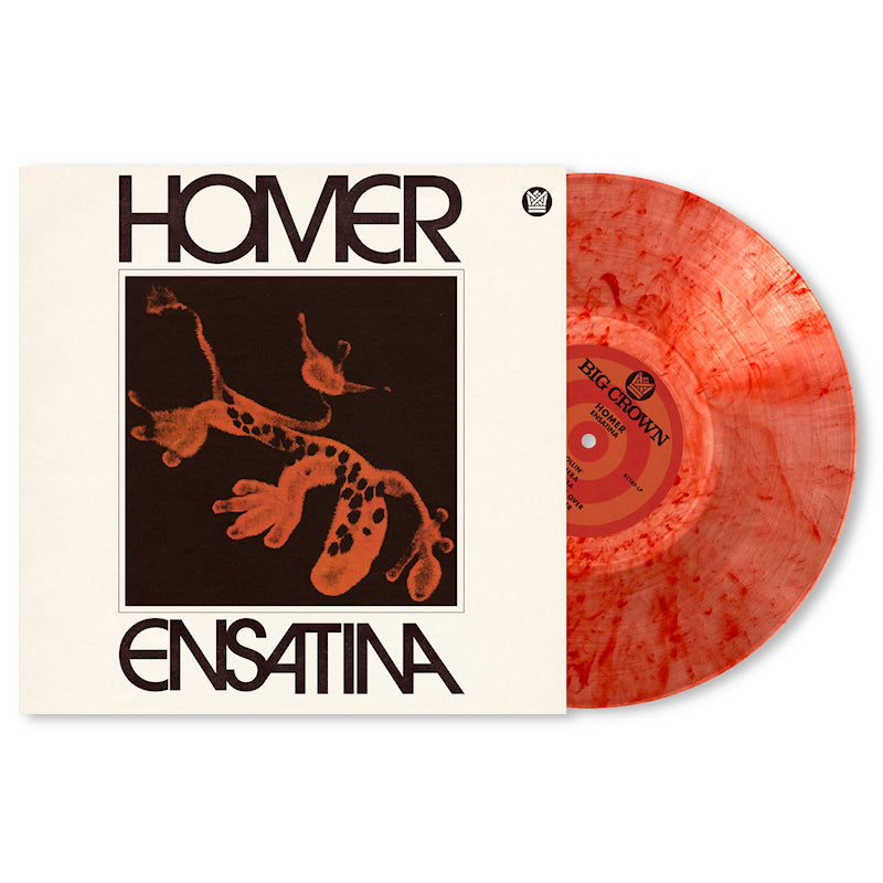 Homer - Ensatina (orange) (Orange, Coloured Vinyl LP)