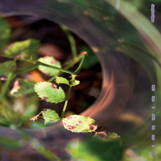 Jonny From Space - Back then i didn t but now i do (LP)