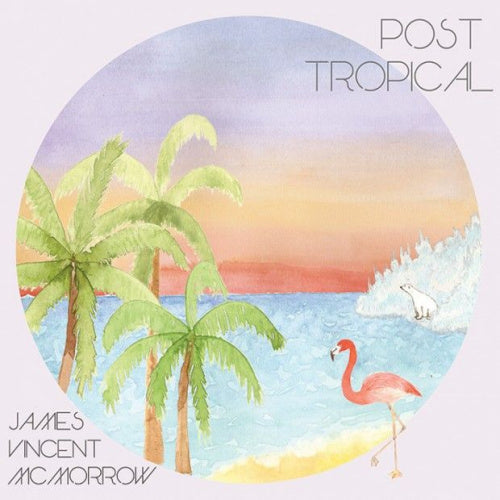 James Vincent Mcmorrow - Post tropical (W/ Download Code (Dropcard) LP)