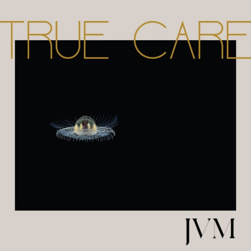 James Vincent Mcmorrow - True care (Download Code LP)