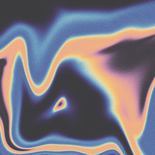 Jamie Lidell & Luke Schneider - A companion for the spaces between dreams (LP)