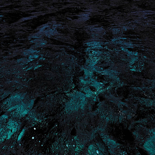 Jan Van Duikere & Marcel Veenendaal - A love unveiled ft. john engels kar (LP)