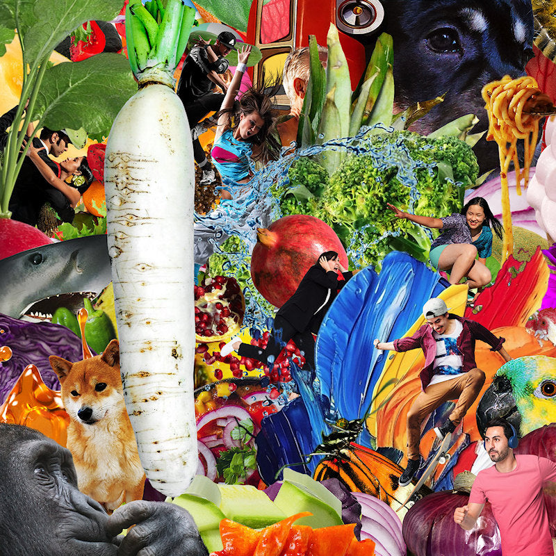 Jetski - The radiant radish (Digipak CD)