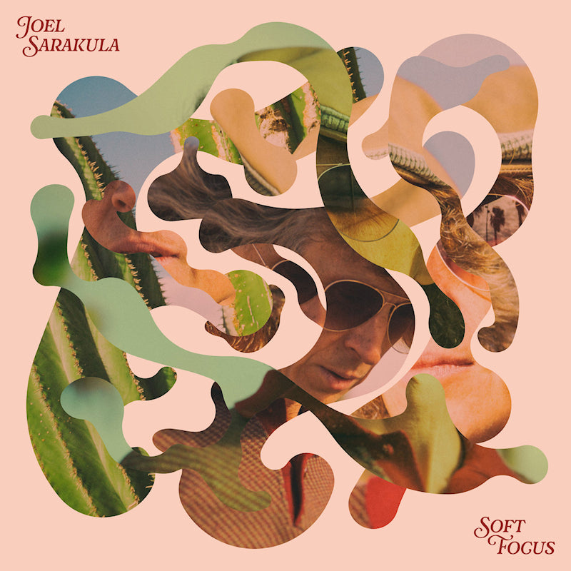 Joel Sarakula - Soft focus (LP)