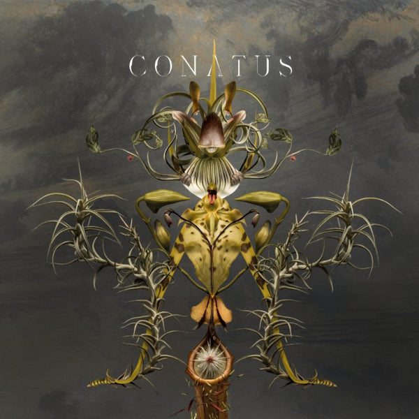 Joep Beving - Conatus (Kvj 2018 LP)