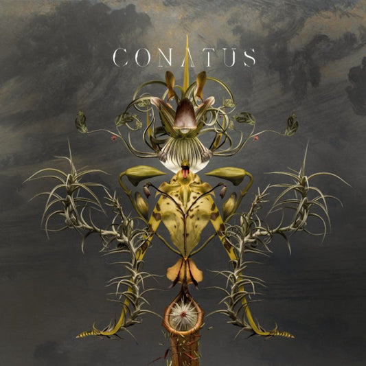 Joep Beving - Conatus (Kvj 2018 LP)