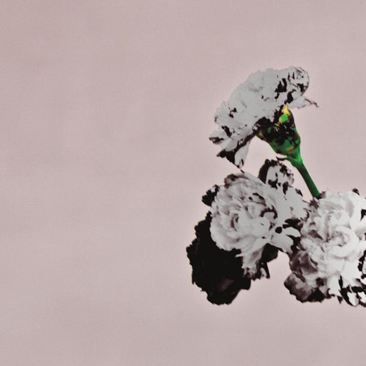 John Legend - Love in the future -special edition- (Special Edition Incl. 5 Bonus Tracks CD)