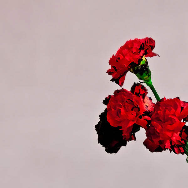 John Legend - Love in the future -deluxe- (CD)