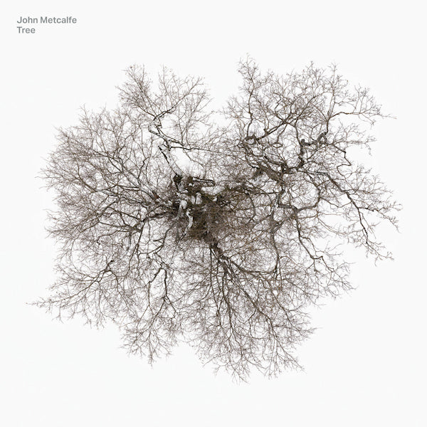 John Metcalfe - Tree (CD)