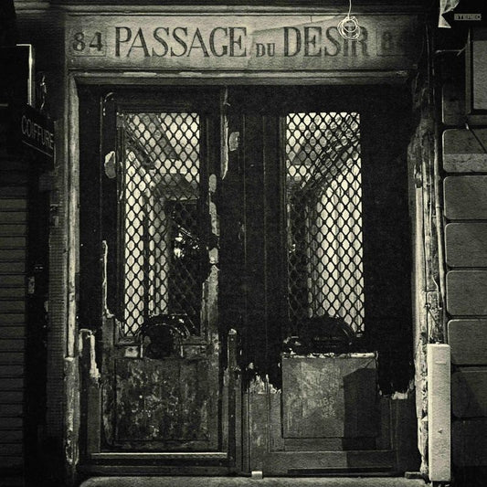 Johnny Blue Skies - Passage du desir (LP)