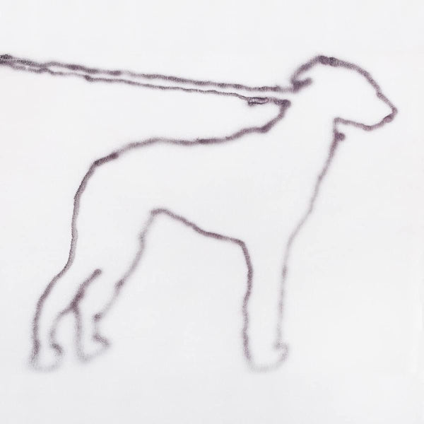 Jonah Yano - Portrait of a dog (.. a Dog, Gatefold Sleeve LP)