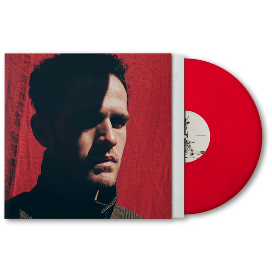 Jordan Rakei - A safe place to be wild (LP)