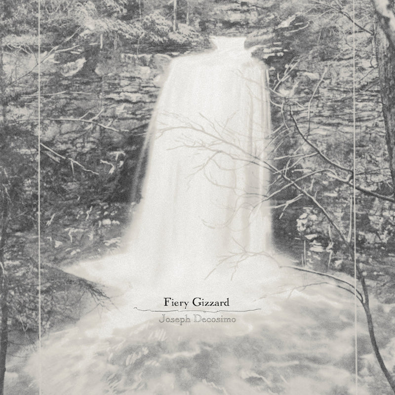 Joseph Decosimo - Fiery gizzard (LP)