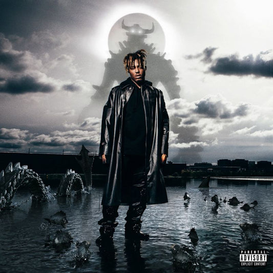 Juice Wrld - Fighting demons (994432 LP)