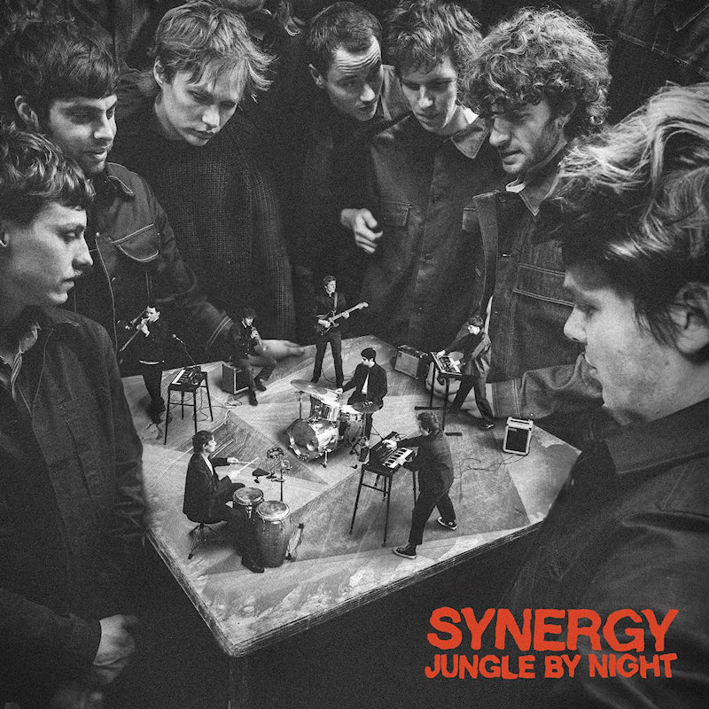 Jungle By Night - Synergy (Red Transparent Vinyl, Transparent, Coloured Vinyl LP)