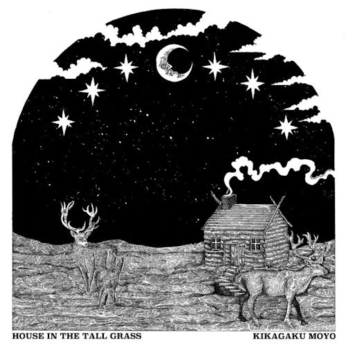 Kikagaku Moyo - House in the tall grass (3890626 LP)